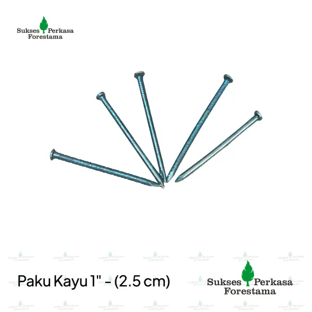 Paku Kayu 1" - (2.5 cm)
