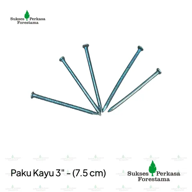 Paku Kayu 3" - (7.5 cm)