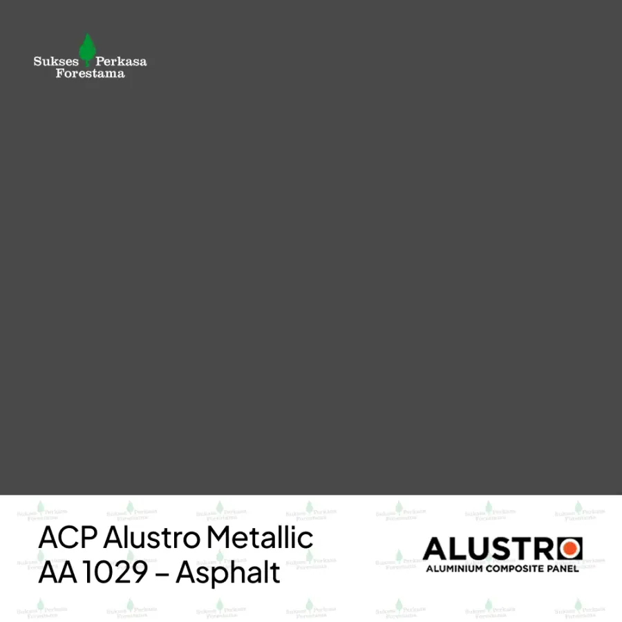 ACP Alustro Metallic AA 1029 – Asphalt