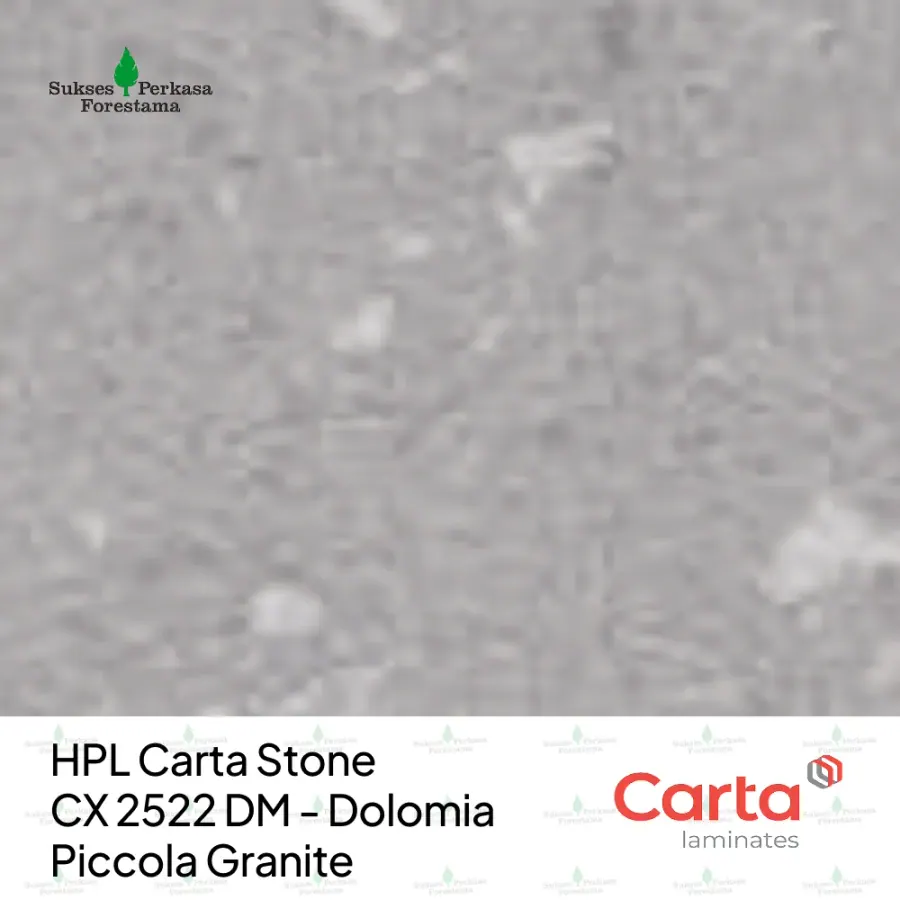 HPL Carta Stone CX 2522 DM - Dolomia Piccola Granite