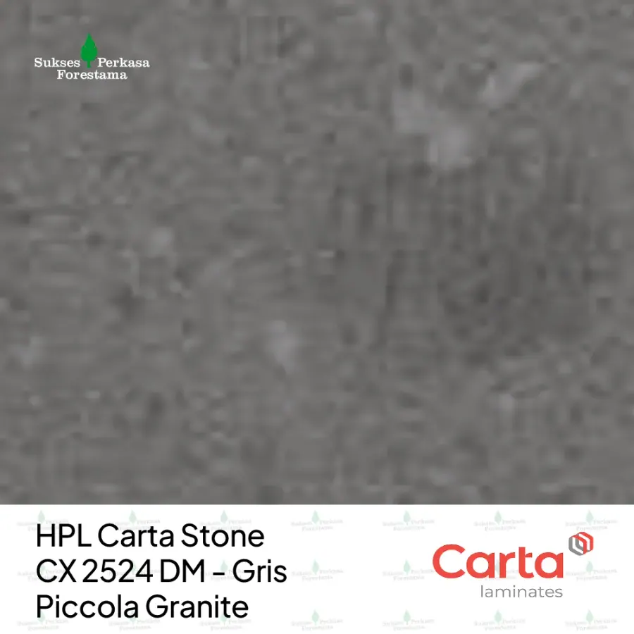 HPL Carta Stone CX 2524 DM - Gris Piccola Granite